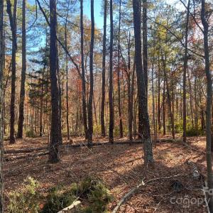 Photo #3 of TBD Steele, Waxhaw, NC