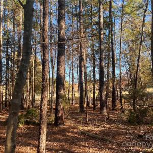 Photo #6 of TBD Steele, Waxhaw, NC