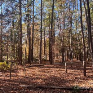 Photo #5 of TBD Steele, Waxhaw, NC