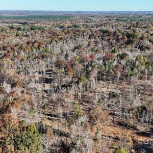 Photo #7 of 01 Tirzah Church, Waxhaw, NC