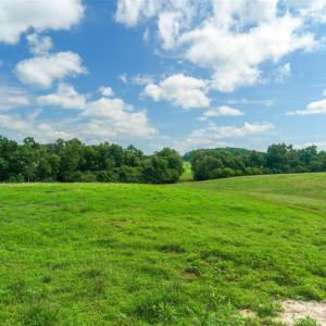 Photo #21 of Lucy Short Cut, Marshville, NC