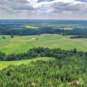 Photo #13 of Lucy Short Cut, Marshville, NC