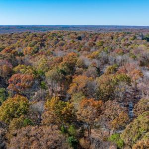 Photo #41 of Nablus, Waxhaw, NC