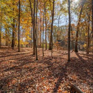 Photo #19 of Nablus, Waxhaw, NC