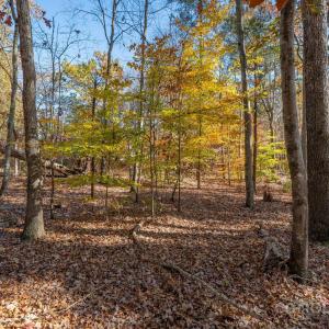 Photo #16 of Nablus, Waxhaw, NC