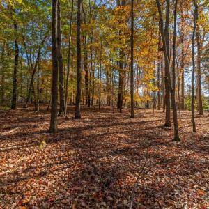 Photo #20 of Nablus, Waxhaw, NC