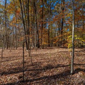 Photo #31 of Nablus, Waxhaw, NC