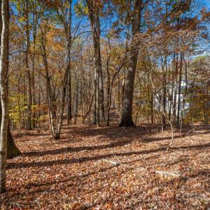 Photo #18 of Nablus, Waxhaw, NC