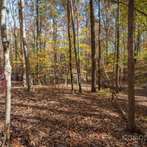 Photo #25 of Nablus, Waxhaw, NC