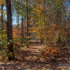 Photo #13 of Nablus, Waxhaw, NC