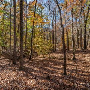 Photo #22 of Nablus, Waxhaw, NC