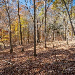 Photo #24 of Nablus, Waxhaw, NC