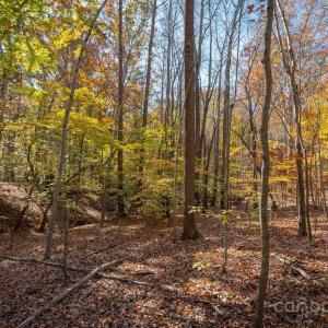 Photo #23 of Nablus, Waxhaw, NC