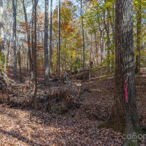 Photo #26 of Nablus, Waxhaw, NC