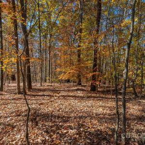 Photo #17 of Nablus, Waxhaw, NC