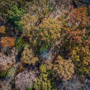 Photo #36 of Nablus, Waxhaw, NC