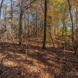 Photo #28 of Nablus, Waxhaw, NC