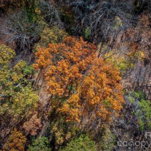 Photo #43 of Nablus, Waxhaw, NC