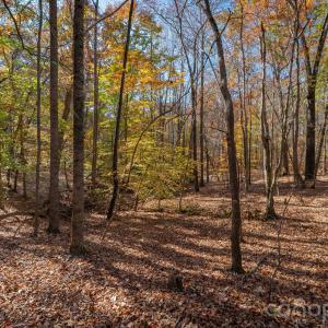 Photo #22 of Nablus, Waxhaw, NC