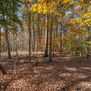 Photo #15 of Nablus, Waxhaw, NC