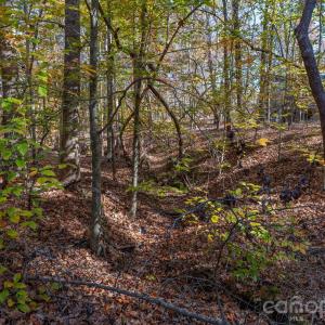 Photo #27 of Nablus, Waxhaw, NC