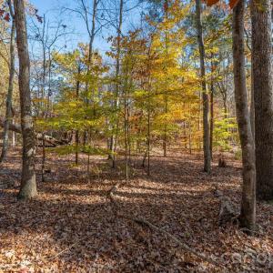 Photo #16 of Nablus, Waxhaw, NC