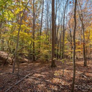 Photo #23 of Nablus, Waxhaw, NC