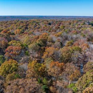 Photo #41 of Nablus, Waxhaw, NC