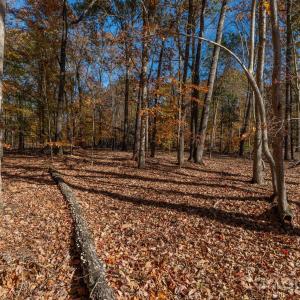 Photo #30 of Nablus, Waxhaw, NC