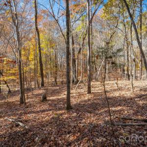 Photo #24 of Nablus, Waxhaw, NC