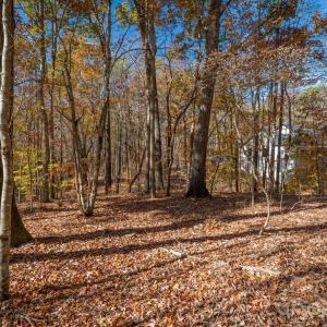 Photo #18 of Nablus, Waxhaw, NC