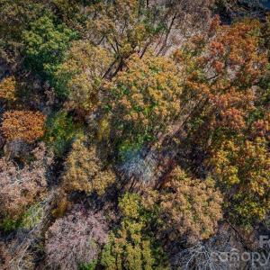 Photo #36 of Nablus, Waxhaw, NC