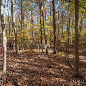 Photo #25 of Nablus, Waxhaw, NC