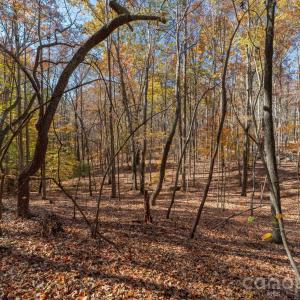 Photo #21 of Nablus, Waxhaw, NC