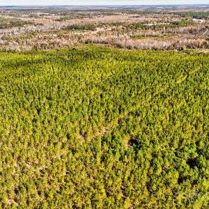 Photo #4 of 931 Charlie Johnson, Kershaw, SC