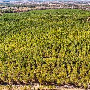 Photo #9 of 931 Charlie Johnson, Kershaw, SC