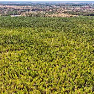 Photo #8 of 931 Charlie Johnson, Kershaw, SC