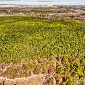 Photo #2 of 931 Charlie Johnson, Kershaw, SC