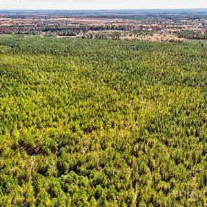 Photo #7 of 931 Charlie Johnson, Kershaw, SC