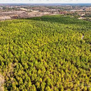 Photo #5 of 931 Charlie Johnson, Kershaw, SC