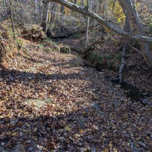 Photo #9 of Yount, Salisbury, NC