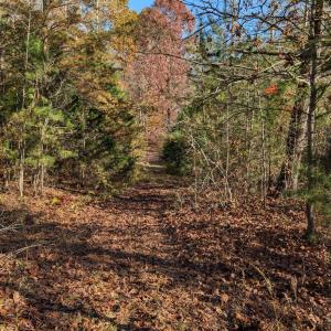 Photo #5 of Yount, Salisbury, NC