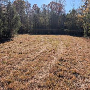 Photo #4 of Yount, Salisbury, NC