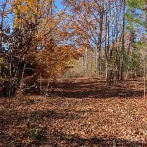 Photo #12 of Yount, Salisbury, NC