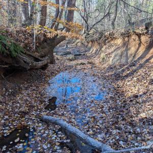 Photo #10 of Yount, Salisbury, NC