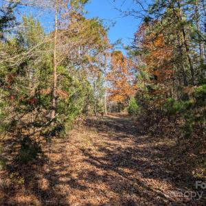 Photo #6 of Yount, Salisbury, NC