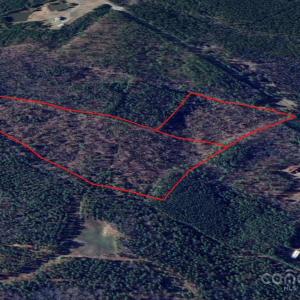 Photo #2 of Agnes, Sanford, NC