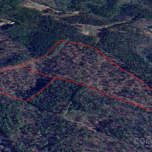 Photo #1 of Agnes, Sanford, NC