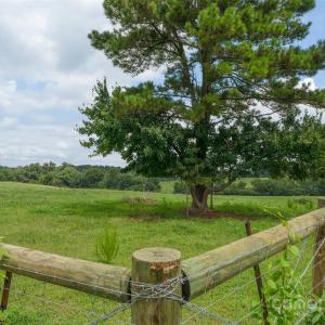 Photo #19 of Lucy Short Cut, Marshville, NC