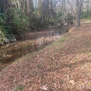 Photo #9 of Jeffrey, Wingate, NC